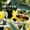 新疆·喀什疆果果 沙枣花蜜10g*12支